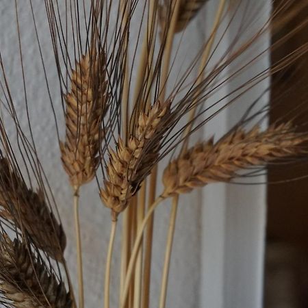 Los Trigos, Casa Rural Montejaque Ngoại thất bức ảnh